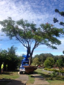 Delivering Poinciana February 2014