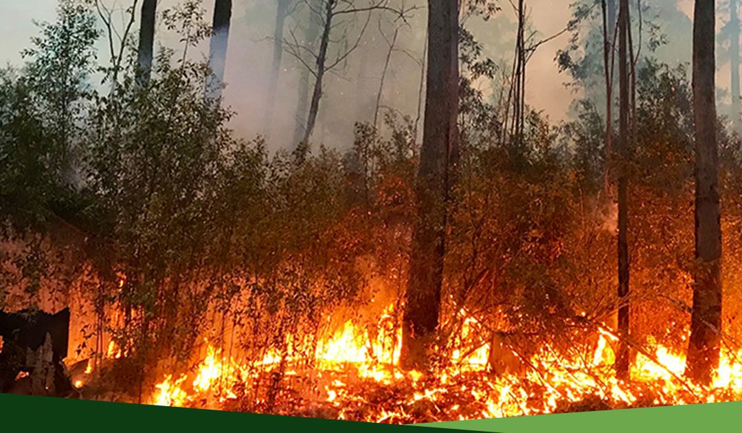Get Ready for Bushfire Season